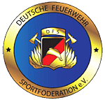 logo dfs sport